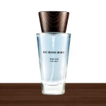 Burberry Touch For Men Eau De Toilette 100ml Spray
