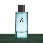 Tiffany Tiffany & Love Male Eau De Toilette 90ml Spray