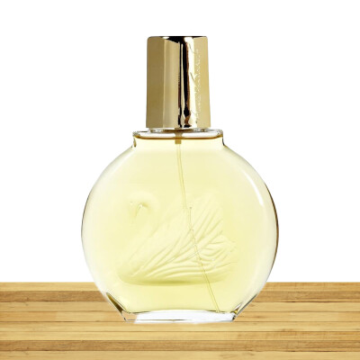 Vanderbilt Vanderbilt Eau de Toilette Spray 100ml